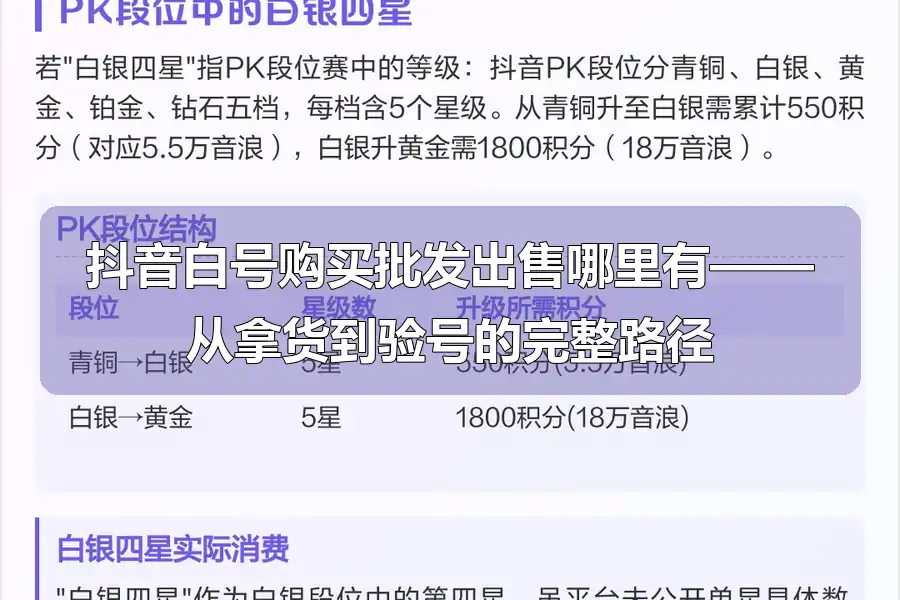 抖音白号购买批发出售哪里有——从拿货到验号的完整路径